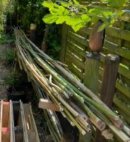 Bambusstangen Pergola Rankhilfen 5-6 M WIRD WENIGER !!! Nordrhein-Westfalen - Marl Vorschau