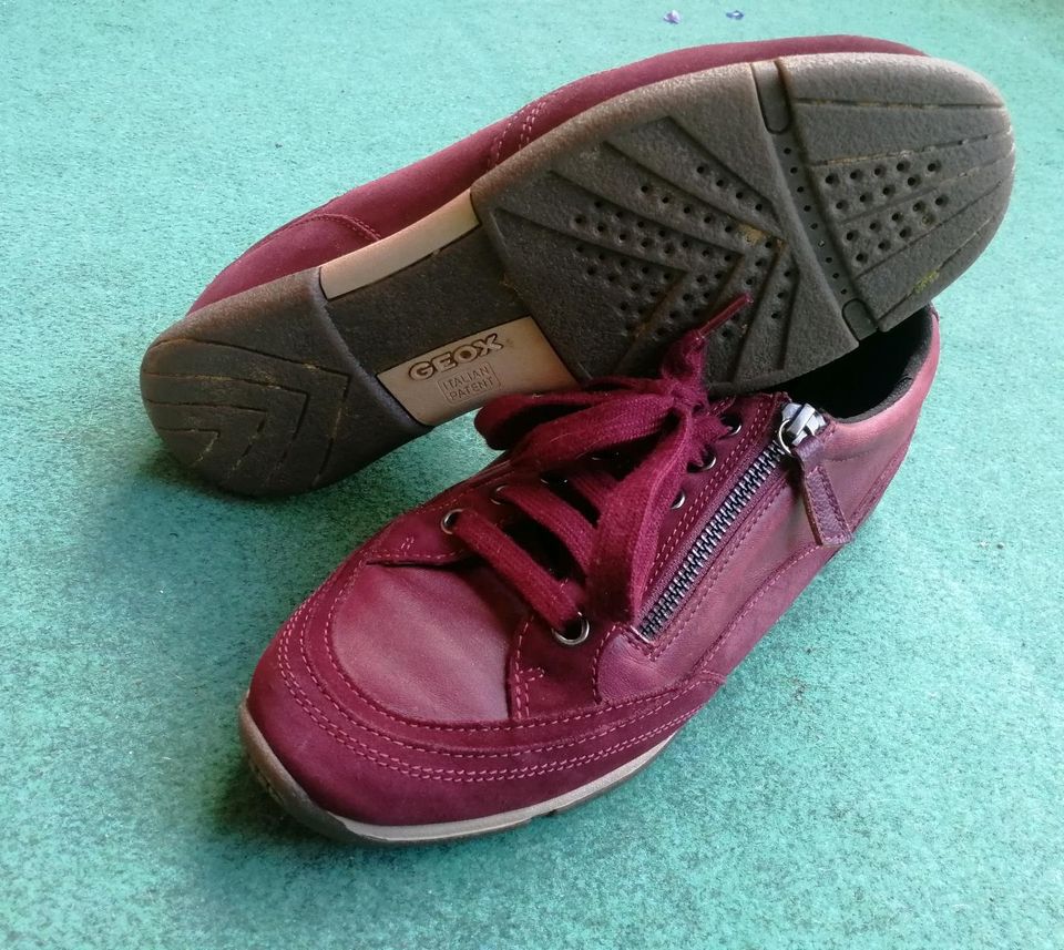 NEU! Geox Damen Sneaker Gr.38 Leder in Selb