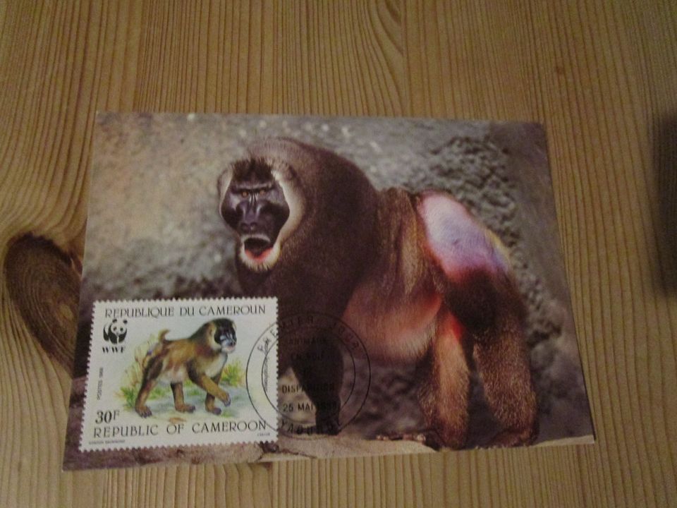 Aus Nachlass 24 verschiedene WWF Koverts+Karten mit Briefmarken in Scharbeutz