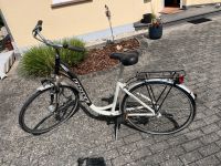 Damen Fahrrad Rheinland-Pfalz - Salmtal Vorschau