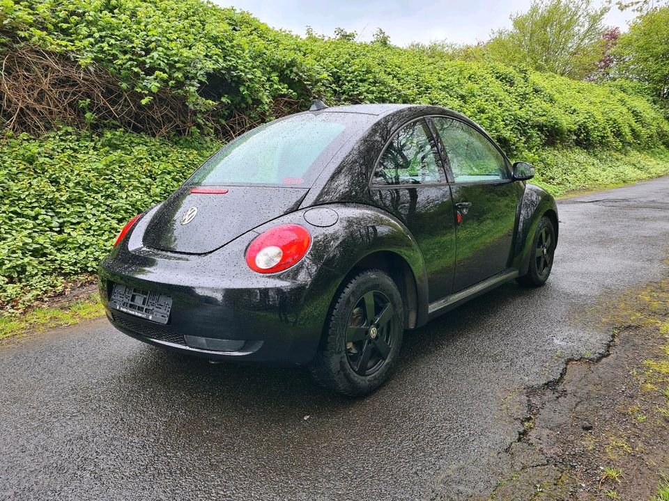 ❌️VW Beetle, TÜV 10.2025,  Lederausstattung❌️ in Leer (Ostfriesland)