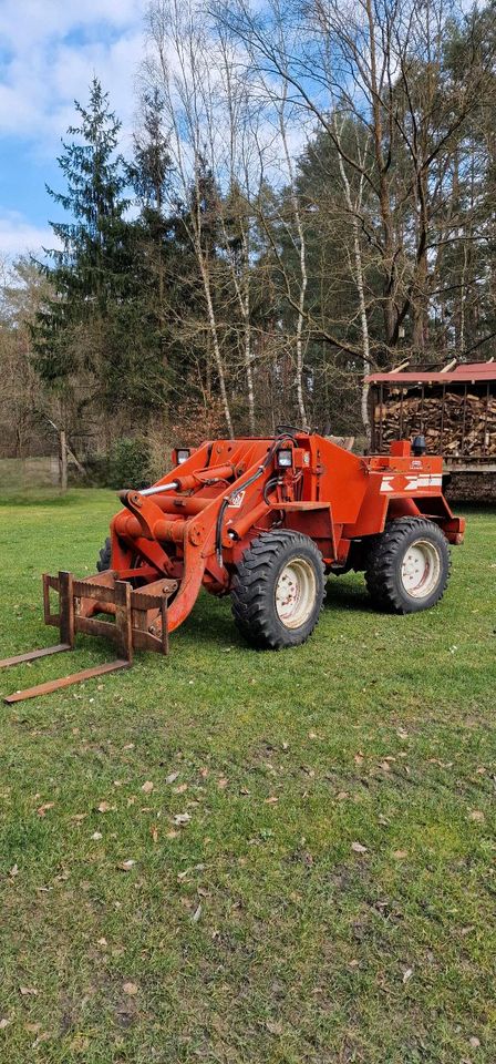 Radlader O&K L6 Baujahr 1974 (Atlas,Schaeff,Hoflader,Weidemann) in Ringenwalde