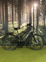 Ebike Comfort Pro Sonderpreis 8 Gang Freilauf 500w Bosch Riemen Niedersachsen - Bakum Vorschau