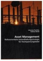 Asset Management von Johannes Puschitz (2013, Taschenbuch) Bayern - Wenzenbach Vorschau