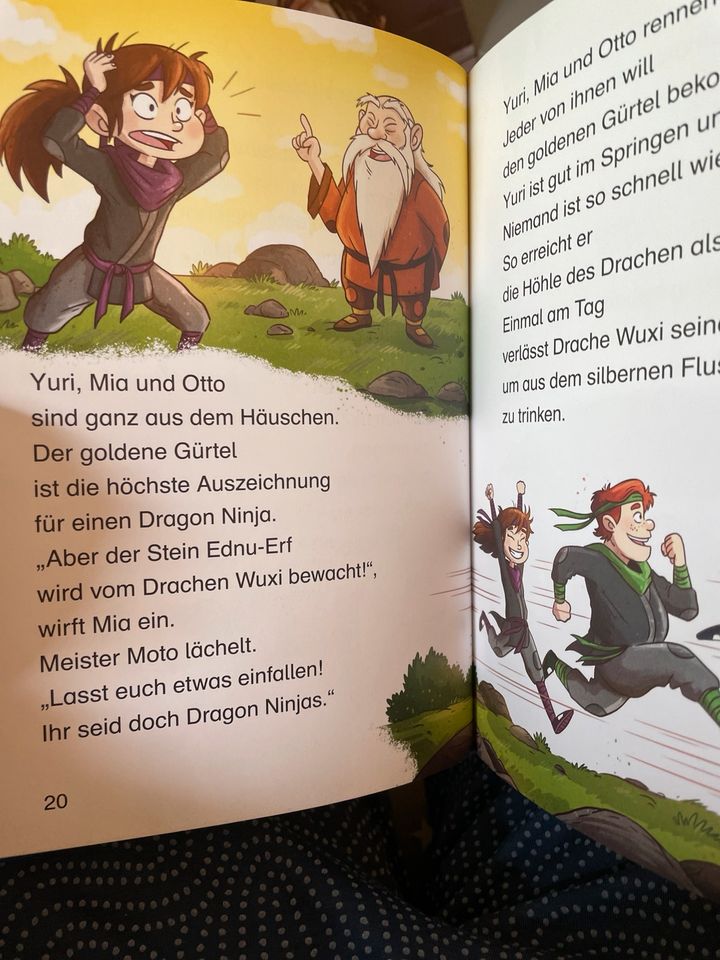 Leserabe Ninjageschichten Erstleser Ninjago Kinderbuch in Hamburg