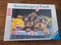 Ravensburger Puzzle 1000 Teile NEU Hessen - Babenhausen Vorschau