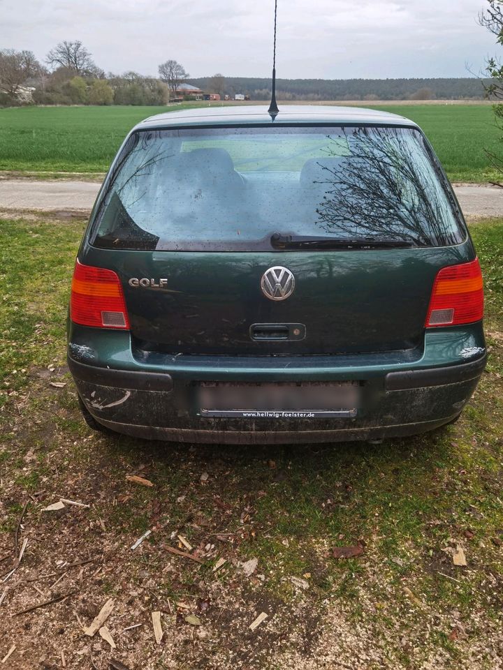 Volkswagen Golf 4 1.4 16 zu verkaufen in Zernien