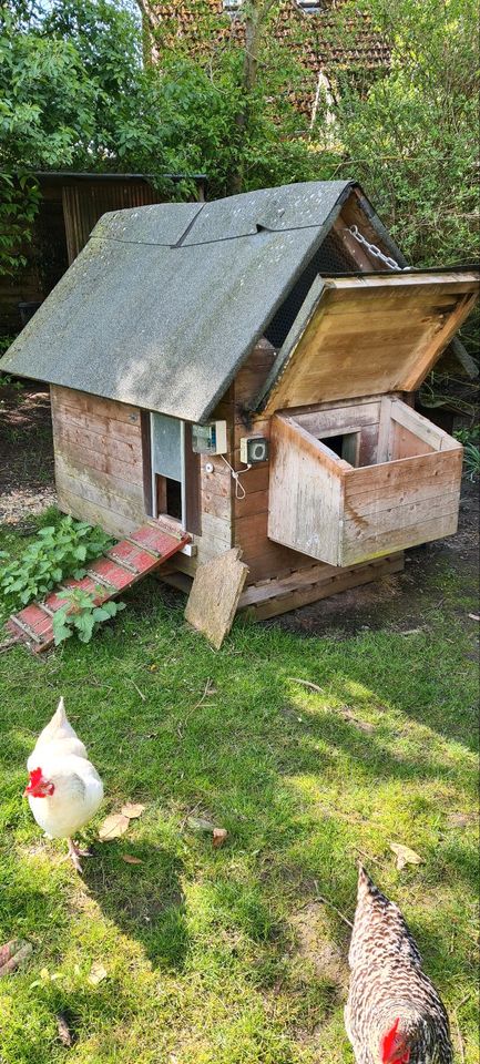 Hühnerhaus mit Schließautomatik in Preetz