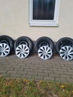 VW POLO Winterreifen 185 65 R15 auf Stahlfelgen Pirelli Sachsen-Anhalt - Magdeburg Vorschau