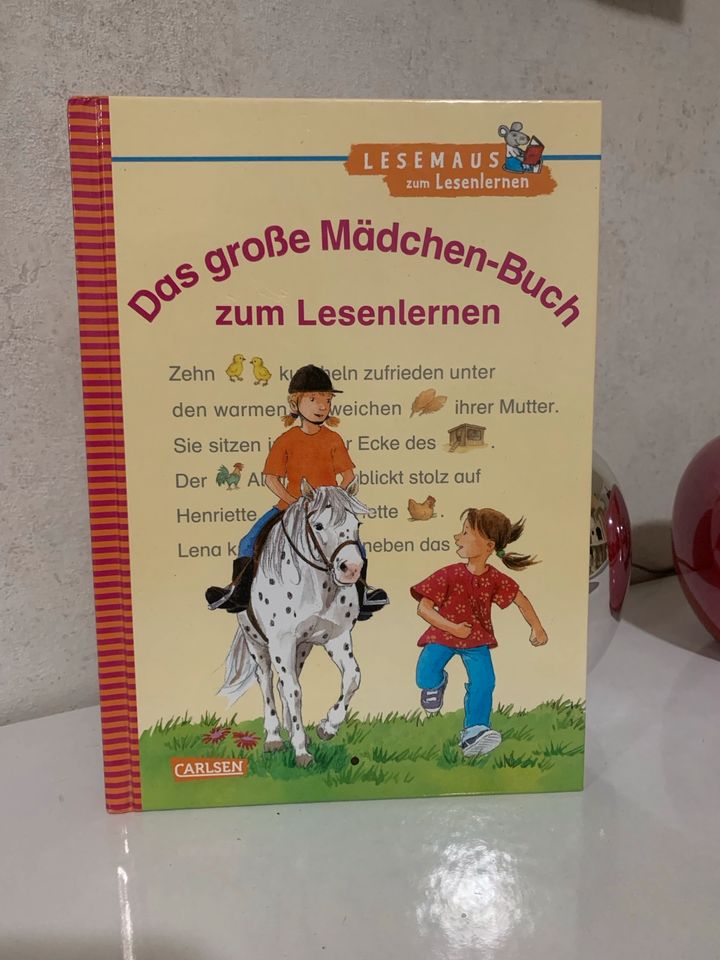 Das große Mädchen-Buch zum Lesenlernen in Bergisch Gladbach