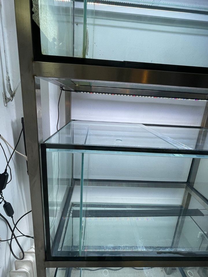 Aquarium Zuchtanlage Aufzuchtanlage 3x 300 Liter Edelstahlgestell in Leimen