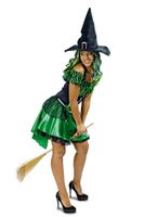 Hexen Kostüm grün-schwarz Damen Gr. 34-36 Nordrhein-Westfalen - Bottrop Vorschau