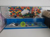 LEGO Schau-und Spielkasten + Lego Figuren Baden-Württemberg - Freiburg im Breisgau Vorschau