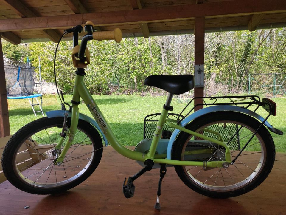 Kinderfahrrad 18 Zoll in Hecklingen