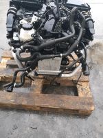 Motor Mercedes  276853 276.853  E400 W213  CLS  GLE GLC 43AMG Mecklenburg-Vorpommern - Neubrandenburg Vorschau