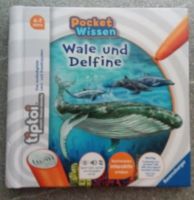 tiptoi® Pocket Wissen Kinderbuch Wale und Delfine ab 4 Jahre Nordrhein-Westfalen - Oelde Vorschau