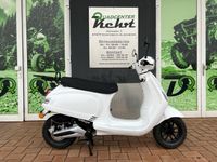 E-Boy Elektroroller / Roller / Scooter Rheinland-Pfalz - Enkenbach-Alsenborn Vorschau