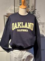H&M Sweatshirt Sweater Gr. L blau Frontprint neuwertig Hessen - Waldbrunn Vorschau