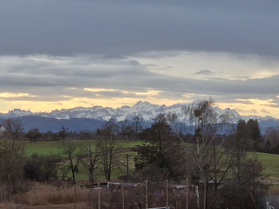 Architektonisches naturnahes Juwel mit Alpenblick in Tettnang