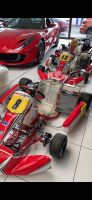 2x Birel Schaltkart CRY 30-S11 Motor TM R 1 spezial FULL- SET Baden-Württemberg - Oberderdingen Vorschau