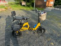 Dreirad für Erwachsene mit Kindersitz Hessen - Stadtallendorf Vorschau