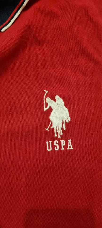 US Polo Assn.  Poloshirt- top! in Oberursel (Taunus)