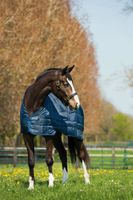 Horseware Liner mit 100g Faserfüllung in 125cm - NEU Hessen - Wettenberg Vorschau