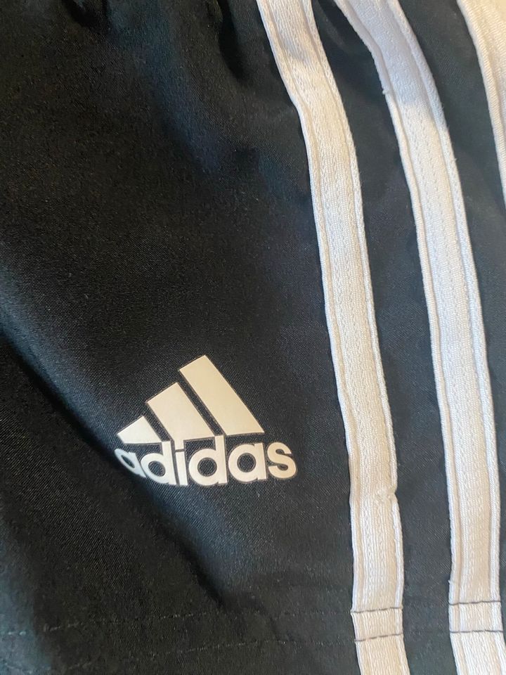 Adidas Hose kurz 3-4 Jahre in Quierschied