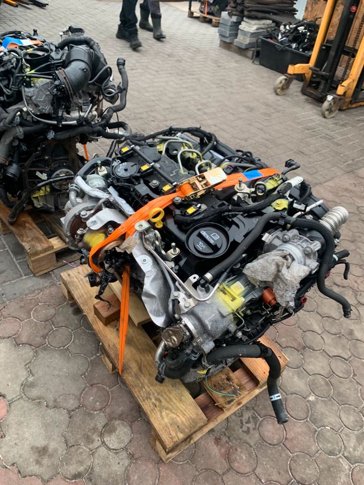 MOTOR 1,6 DIESEL OPEL ASTRA MOKKA  B16DTL LVM KOMPLETT 67 TSD KM! in Körle