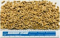 Angebot Qualität Holz Pellets, ENplus A1, lose Ware pro 1000kg Schleswig-Holstein - Handewitt Vorschau