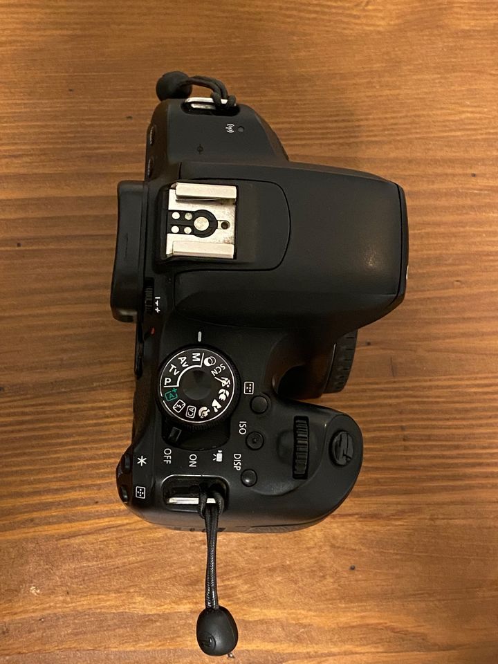 Canon EOS 800D + Objektiv 90 - 300 // Spiegelreflexkamera DSLR in Freiburg im Breisgau
