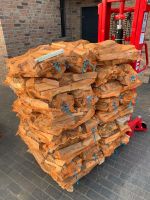 Brennholz Buche Birke Ofenholz Feuerholz Kaminholz Raschelsack Brandenburg - Oranienburg Vorschau