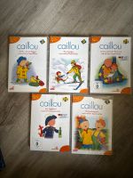 DVD Caillou Folgen 1, 2, 3, 20 und 21 // Preis pro DVD Sachsen - Putzkau Vorschau