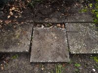 Garten Steinplatten Steine 9 Stück Kreis Pinneberg - Borstel-Hohenraden Vorschau