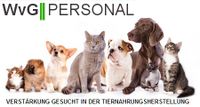 Produktionshelfer (m/d/w) *Herstellung von Tiernahrung* 3 Schicht Niedersachsen - Leer (Ostfriesland) Vorschau