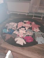 Babykleidung 50 bis 62 Paket Mädchen/Junge Dithmarschen - Brunsbuettel Vorschau