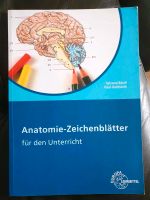 Anatomie Zeichenblätter für den Unterricht Europa Sachsen - Zschopau Vorschau