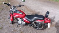 KAWASAKI ELIMINATOR 125 2004 Mit Neuen TÜV Brandenburg - Potsdam Vorschau