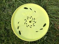 Frisbee- Scheibe top Brandenburg - Bad Liebenwerda Vorschau