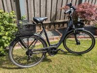 Raleigh Chester 8 XXL - 28 Zoll - Tiefeinsteiger Niedersachsen - Sehnde Vorschau