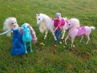 Barbie Traumpferd mit Puppe und singende Elsa Sachsen - Moritzburg Vorschau