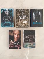 Bücher Fantasy Vampire Thriller Roman Shadow World Niedersachsen - Braunschweig Vorschau