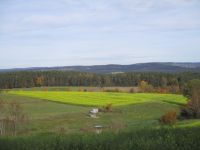 Ausgleichfläche, Pferdekoppel, landw. Fläche bei Neunburg vorm Wald Bayern - Neunburg Vorschau