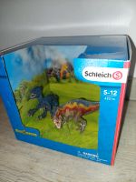 Dinosaurier Schleich 42216 Tiere T-Rex Velociraptor Brandenburg - Falkenberg/Elster Vorschau