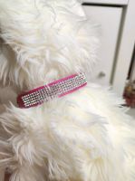 Neu! Luxus Zirkonia Strass Halsband XS Pink Luxury Dog Steinchen Nordrhein-Westfalen - Übach-Palenberg Vorschau