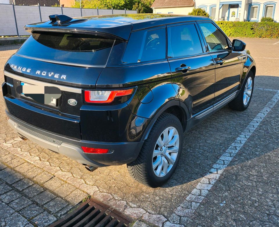 Range Rover Evoque in Gifhorn