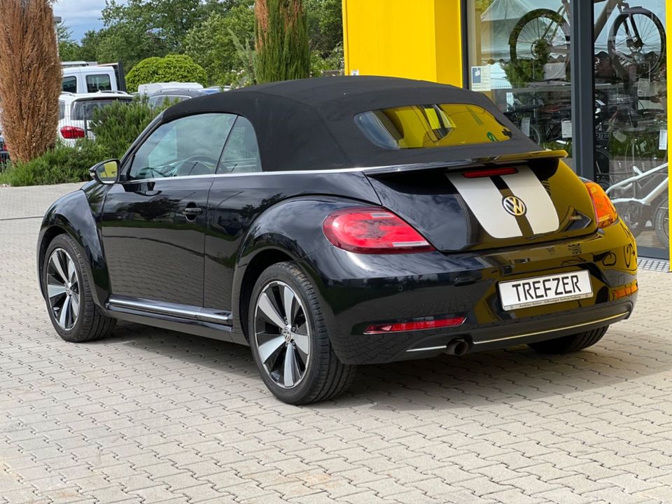 Volkswagen Beetle Cabriolet Design BMT/18 Zoll/Twister in Bad Krozingen