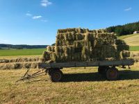 kleine Heuballen 1. Schnitt 2023 Bayern - Eggenthal Vorschau