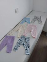 Baby Mädchen Hosen 6_er Pack  TOP Zustand  Größe: 0 bis 6 Mon. Düsseldorf - Stadtmitte Vorschau