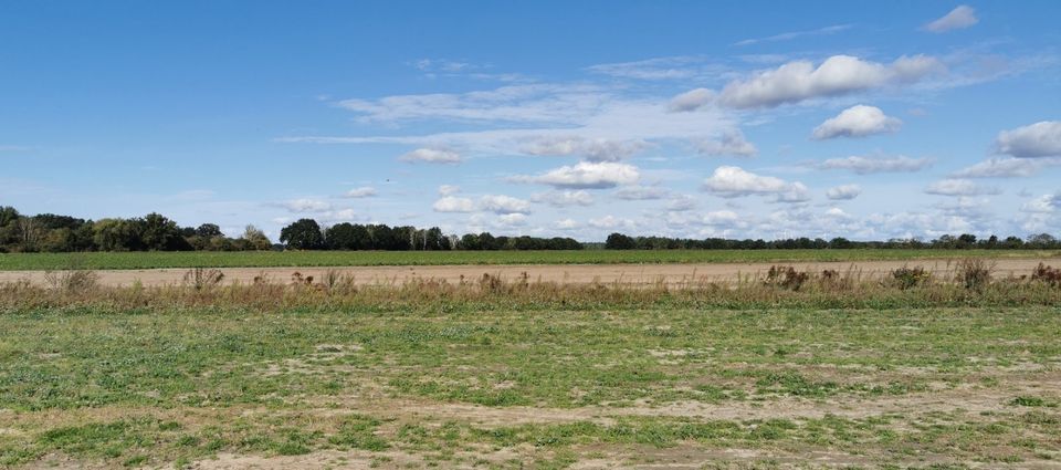 Grundstück am Feldrand, Weyhausen-Klanze, WEITERES GRUNDSTÜCK VERFÜGBAR in Weyhausen